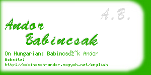 andor babincsak business card